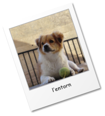 lentorn
