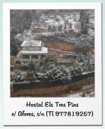 Hostal Els Tres Pins c/ Afores, s/n (Tl 977819257)